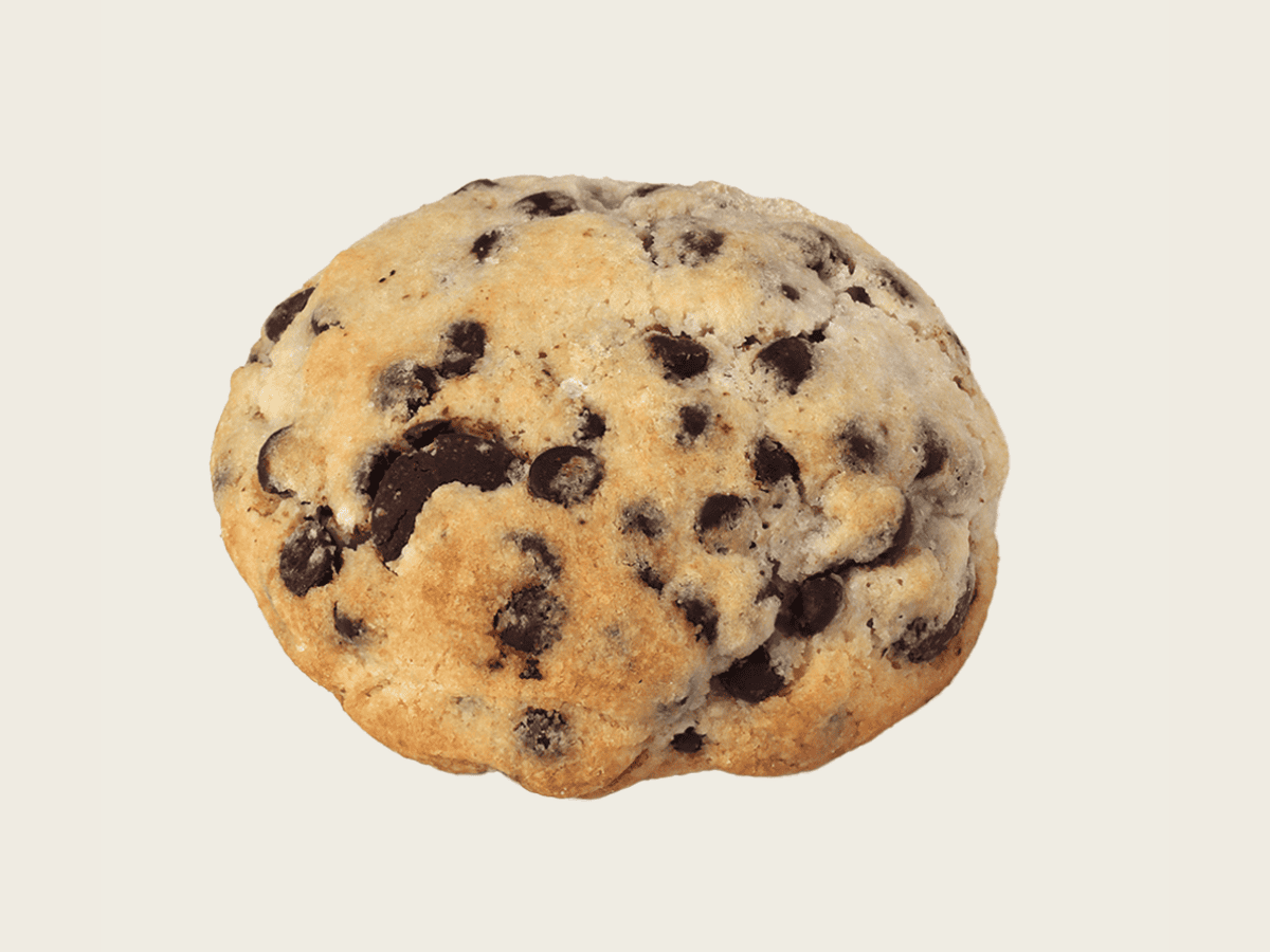 GALLETA DOBLE CHOCOLATA PEYA-05-2026